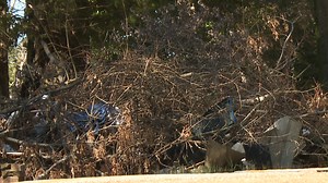 How to remove bulk waste - WBBJ TV