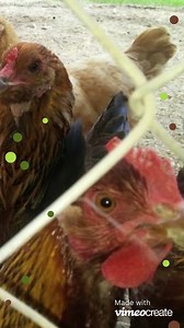 We are so excited to have Canebrake Apiary and Aquaponics LLC on our tour this year!! | Ag Art Tour of Kershaw County