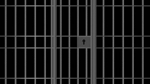Opening jail door animation. Closed jail bars. Prison metal bars animation. Jail door. Prison cell. Transparent background with alpha channel