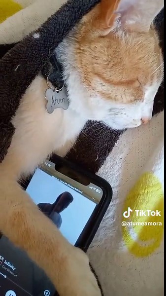 One Direction Infinity: Celebrating Directioner Love