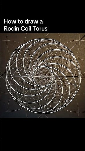 How to draw a Rodin Coil Torus