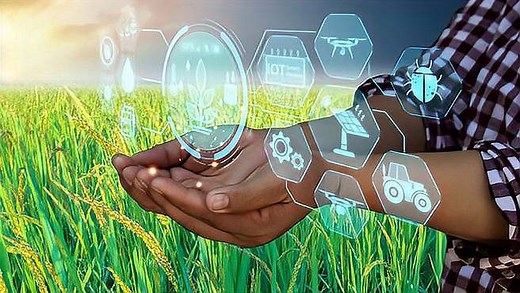 AI在农业中的应用：智能农场与精准种植