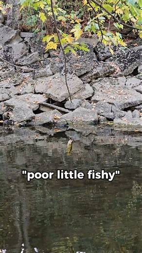 When You Cast Into a Tree and Catch a Fish