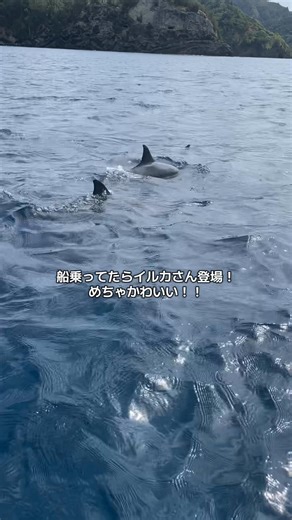 東京から1000キロ離れた島に住む女の日常