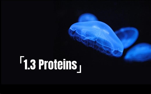 制霸AP生物｜1.3 Proteins 蛋白质