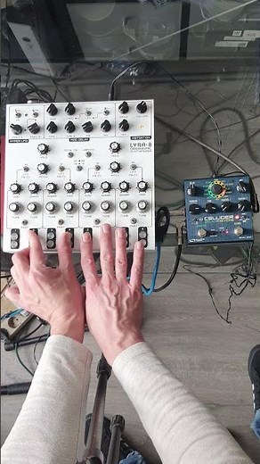 Soma Lyra 8 / Source Audio Collider / Synth Organ Scape