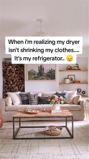 Understanding Refrigerators: Common Issues Explained