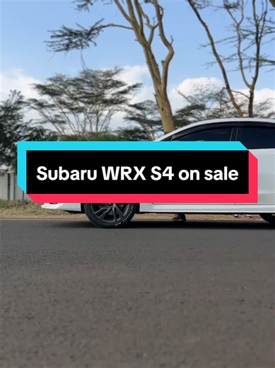 Subaru WRX S4 for Sale - Perfect Combination of Fun and Safety