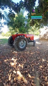 40K views · 802 reactions | New Massey Ferguson 385 tractor short review    #viral #massey #farming #farmer #farm #agriculture #village #tractor | UM Farming | Facebook