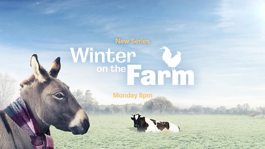Our brand new series of Winter on the Farm is back on Channel 5 starting on Monday at 8pm. Make sure you tune in as we once again host this farming spectacular - and show the adventures of our amazing animals. | Cannon Hall Farm