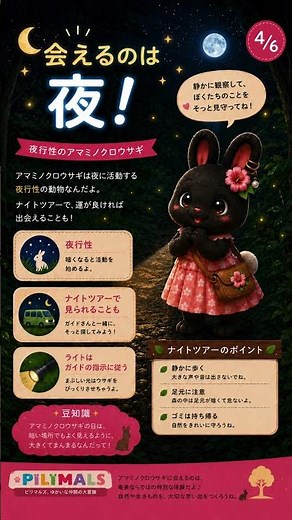 アマミノクロウサギって知ってる？ #アマミノクロウサギ #奄美大島 #奄美 #ウミガメ