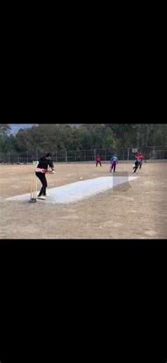 Highlights from MPL 7 Edition Shorts