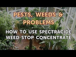 How to Use Spectracide Weed Stop Concentrate