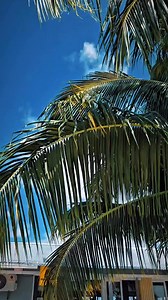 253 reactions · 4 comments | And that’s a wrap from the islands  a memorable Class 03 Reunion until we meet in 2 years time 殺壟 We have all forge our own paths but memories holds us all together 﫶❤️ Credit Video to bro  Tafatolu Popese our media/Dj  #CommunityGathering #CommunityEvent #fblifestyle #ccws2003 #highschoolreunion2025 #PesegaCollege #2003Vibes | Nellie Twe | Facebook