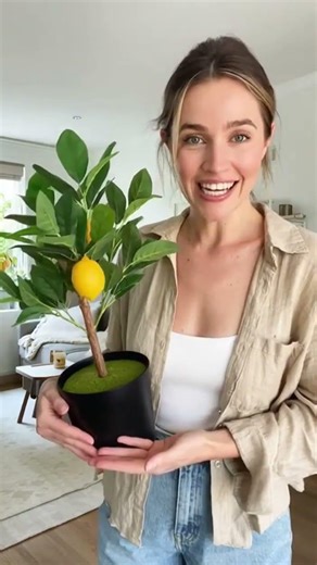 Artificial Lemon Tree (Potted) with Lemons 150cm