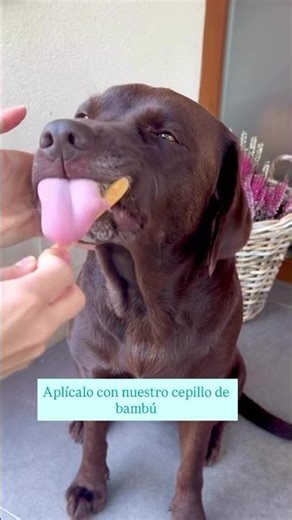 El dentífrico natural que parece un premio (¡y sí lo es!)