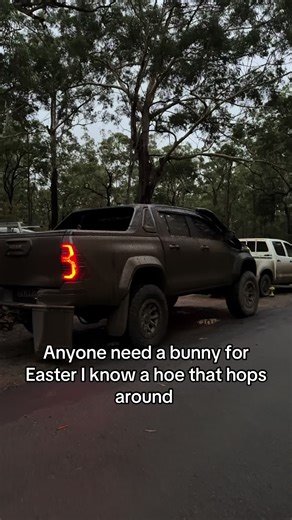 Customized N80s with 5-Inch Lift for Easter Fun