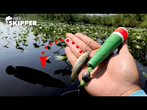 Best Fishing Methods for SNAKEHEAD... Catch & Cook