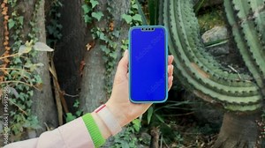 Close-up of a blue screen phone, person using app for identification plants.