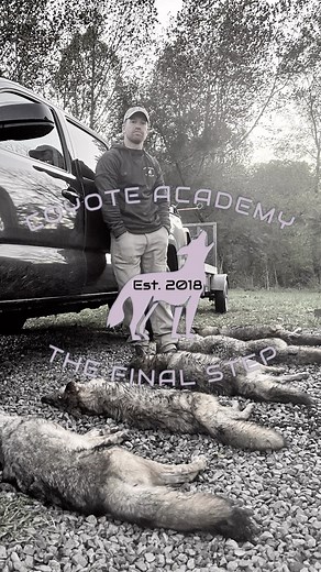 1.8K views · 49 reactions | Efficiency and proficiency are crucial when trying to management predators on a short timeframe. If you like videos like this and want to see more in depth content, go to my YouTube channel listed in my bio. #coyote #coyotes #coyotetrapping #predator #management #bestmanagementpractices | Coyote Academy | Facebook