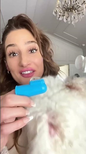 The Best Pet Toothpaste for Dogs & Cats!