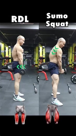 Nbbui Pro Kamal Chhetry ll India 🇮🇳ll Fitness on Instagram: "DB RDL vs. DB Sumo squat DB RDL 🎯 Targets: Glutes and hamstrings 👐🏻 Feet shoulder width, toes forard 🤌🏻 Hing at the hip 🍑DB Sumo squat 🎯 Targets: Glutes, quads, adductors, hip flexors 🙌🏻 Wide feet, toes pointed slightly out 🍑➡️ Hips slightly back and down . . . #legday #legworkout #legsworkout #legdayworkout #glutes #hamstrings #quads #fitness #workout #exercise #fitspo"