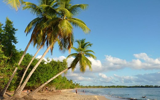 Voyage Martinique - Partir en vacances en Martinique