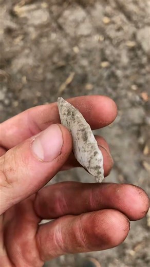 Metal detecting this 1700s plantation!