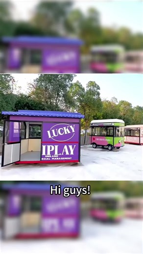 Professional Food Trailers Manufacturer in China