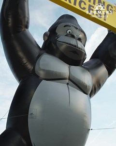 1.7K reactions · 81 shares | If your new car is totaled, we'll cover the cost to replace it with a new one of the same make and model. That's Farmers® New Car Replacement. | Farmers Insurance | Facebook