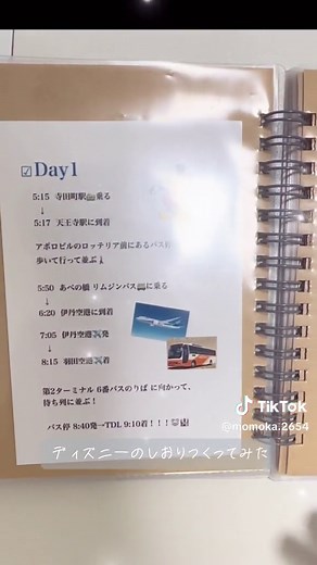 #旅のしおり #旅のしおり手作り #旅のしおりの作り方 #ディズニー旅行#ディズニー #カップル#手作り#手作りアルバム#東京旅行