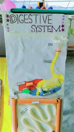Digestive System | Working Model | Science Project #science #project #digestivesystem #workingmodel