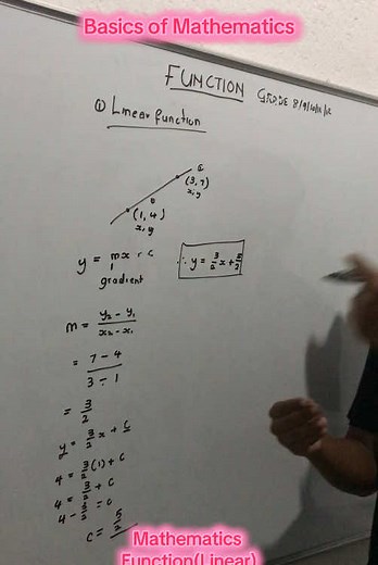 Mathematics: Understanding Linear Functions for Grades 8-12