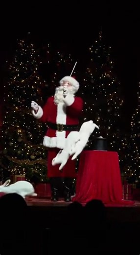 44K views · 386 reactions | Santa's Magical Rabbit Extravaganza! Watch Santa pull endless rabbits from his hat! Generated using Kling AI . . . (For entertainment purposes only. Consult professionals if guidance on activities is presented. No brand affiliation is implied if any are shown. If inspired by true events, creative adaptations may be included. Content may include public footage.) | Fabiosa Daily | Facebook