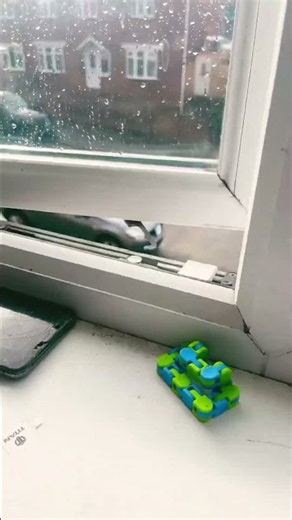 How does this work