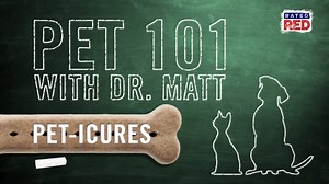 Pet 101: How to Trim Your Pet’s Nails Safely