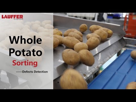 Al Powered Sensor-Based Sorting System: Whole Potato Sorting - Defects Detection