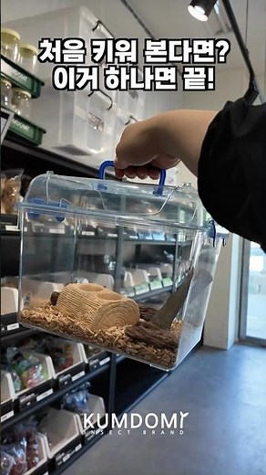 Setting up Stag Beetles and Rhinoceros Beetles in 30 Seconds! (How to Set Up the KIB Economical I...