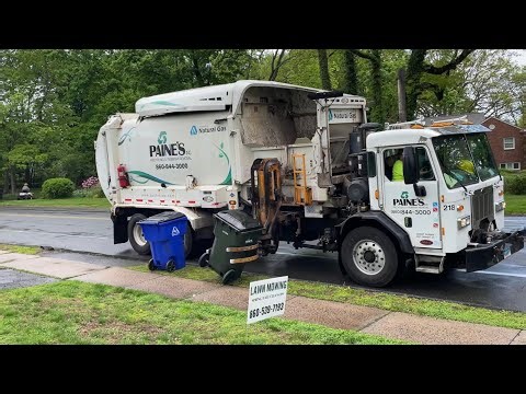 Paine’s Automizer in the Rain