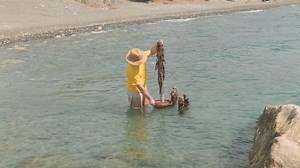 Creepy Creativity! Make a Spooky Seaweed Mask | 5-Minute Crafts Family