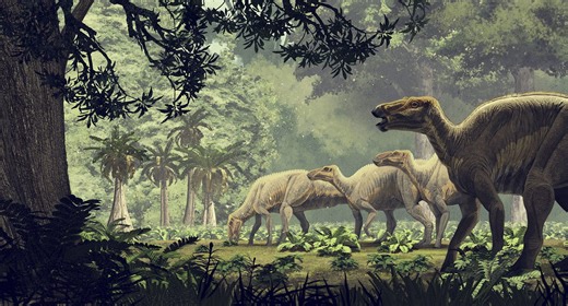 Mating injuries may lead scientists to identify dinosaurs’ sex