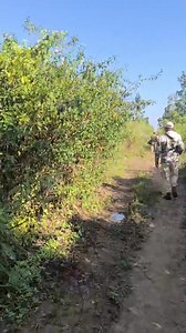 Memory oina sum ...................... | Ip Arun Gi Thamoi