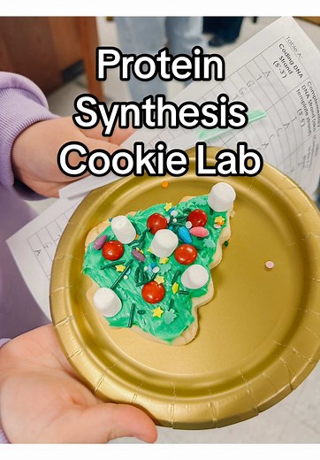 Protein Synthesis Cookie Lab: Fun Biology Experiment
