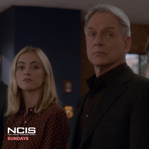 𝑰𝒕'𝒔 𝒐𝒏, Sundays on ION! Feel the NCIS connection all day, with 𝒇𝒓𝒆𝒔𝒉 episodes starting 8/7c! | ION Television