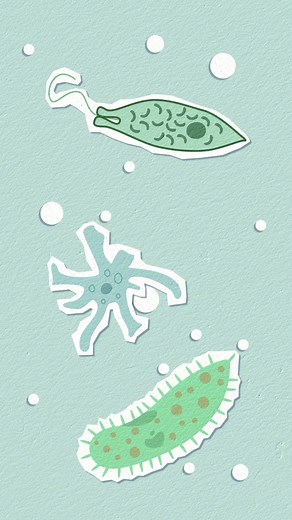 Most DFW homeowners think their water is “fine” until they see what’s actually in it. Our licensed specialists test your water, explain your results, and show what really needs fixing. Free Water Review, no pressure, just honest guidance. | Water Fixers of DFW