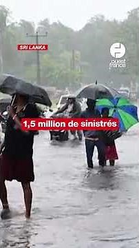 Plus de 1 200 morts en Asie du Sud-Est après les inondations