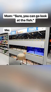 Miss the fish 🎣 🐠🐟 . . . . . . #nostalgia #nostalgic #memories #90skid #90s #2000s #walmart #fish #mom | Nostalgic 90s