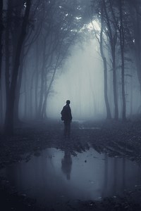 30 Best Black Forest Hiking Trails For All Skill Levels