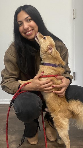 266 reactions · 21 shares |  Happy tails for Cody  Cody was...