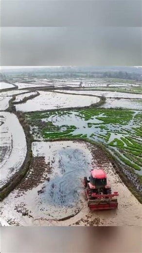 @Live streaming #Agricultural Machinery #Field Head @ #Assistant#127d5